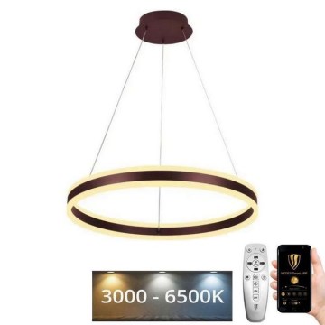 LED ljusreglerad ljuskrona på textilsladd LED/85W/230V 3000-6500K + fjärrkontroll