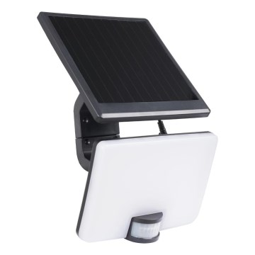LED Ljusreglerad solcell strålkastare med rörelsedetektor LED/10W/3000 mAh 4000K IP54