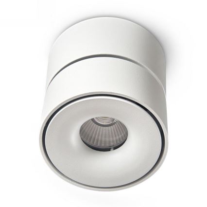 LED ljusreglerad spotlight LAHTI LED/10,5W/230V 3000K CRI 90 vit