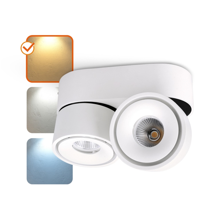 LED ljusreglerad spotlight LAHTI MINI 2xLED/9W/230V 3000K CRI 90 vit