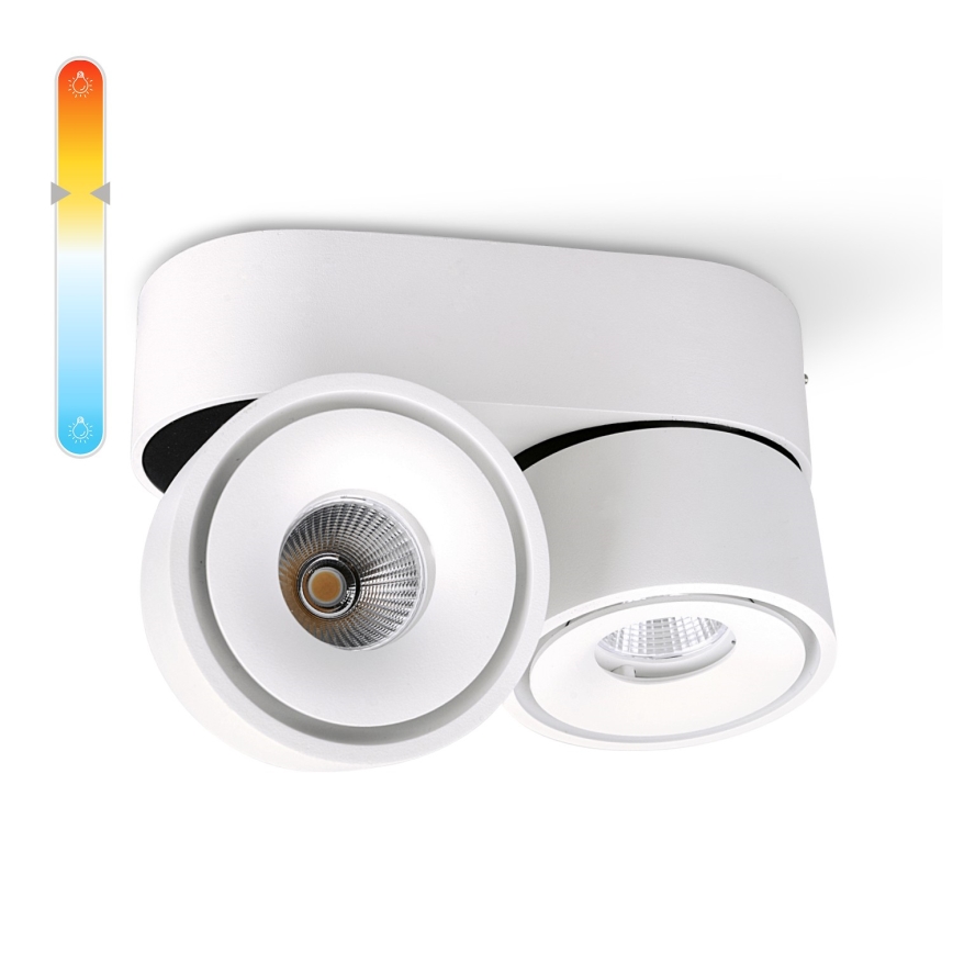 LED ljusreglerad spotlight LAHTI MINI 2xLED/9W/230V 3000K CRI 90 vit
