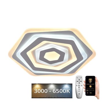 LED ljusreglerad taklampa LED/95W/230V 3000-6500K + fjärrkontroll