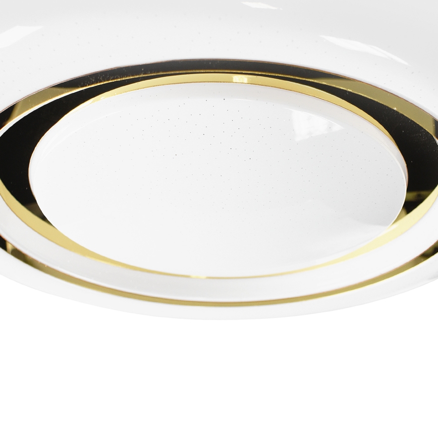 LED ljusreglerad taklampa MEGAN LED/48W/230V 3000-6000K + fjärrkontroll