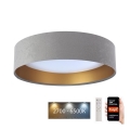 LED ljusreglerad taklampa SMART GALAXY LED/24W/230V diameter 45 cm 2700-6500K Wi-Fi Tuya grå/gyllene + fjärrkontroll
