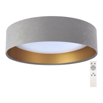 LED ljusreglerad taklampa  SMART GALAXY LED/24W/230V grå/gyllene  3000-6500K + Fjärrkontroll