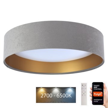 LED ljusreglerad taklampa SMART GALAXY LED/36W/230V diameter 55 cm 2700-6500K Wi-Fi Tuya grå/guld + fjärrkontroll
