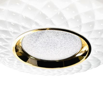 LED ljusreglerad taklampa TOKYO LED/48W/230V 3000-6000K + fjärrkontroll