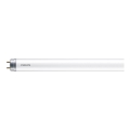 LED lLsrör Philips T8 G13/16W/230V 6500K 120 cm