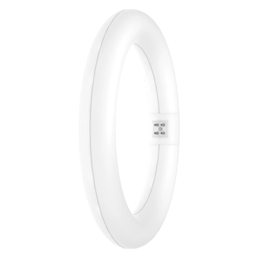 LED lLsrör SUBSTITUBE T9 G10q/12W/230V 4000K diameter 21,2 cm - Osram