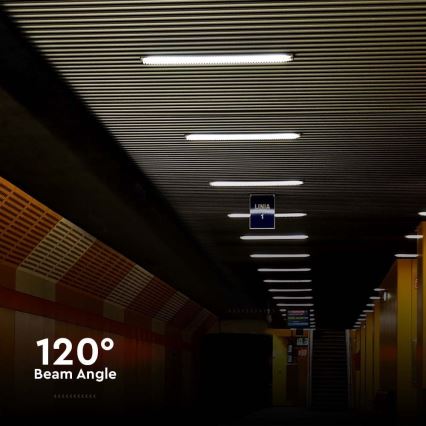 LED lysrör arbetsbelysning LED/48W/230V 6500K IP65 150 cm