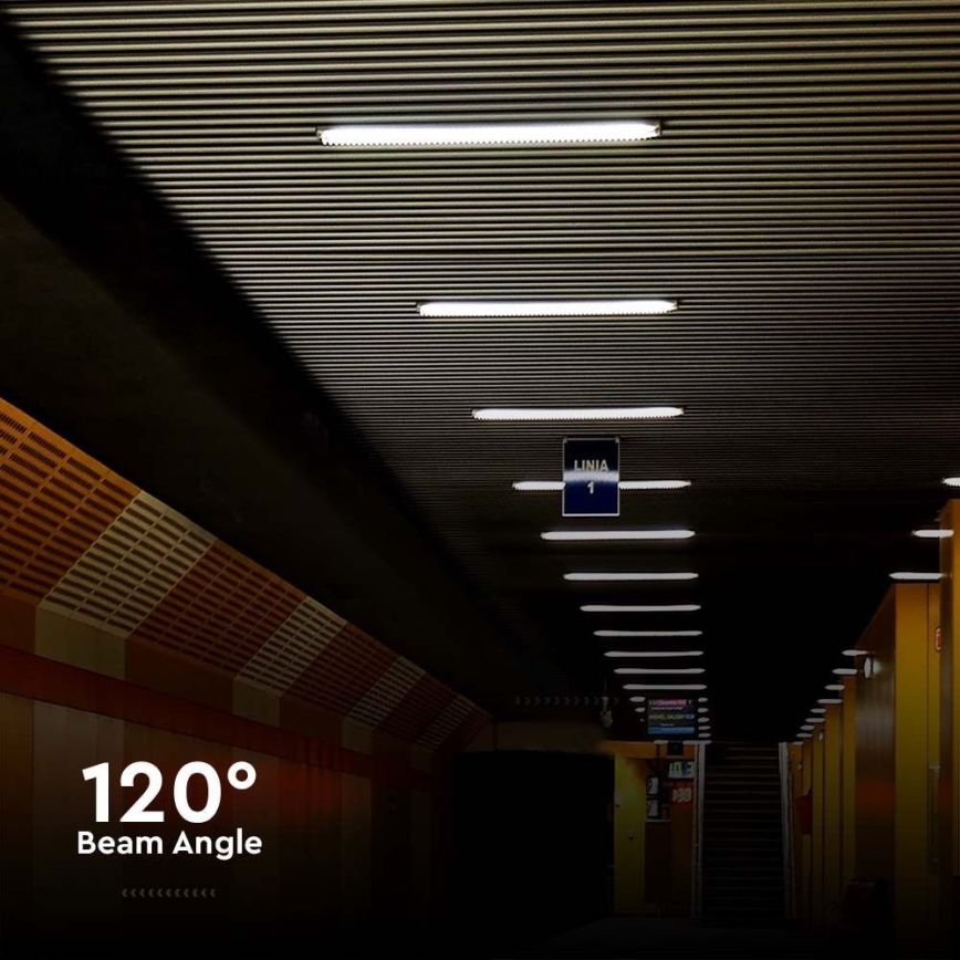 LED lysrör arbetsbelysning LED/48W/230V 6500K IP65 150 cm