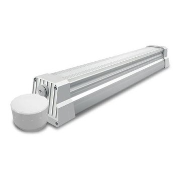 LED lysrör arbetsbelysning LED/55W/230V IP66