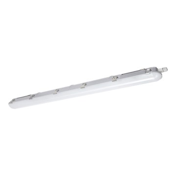 LED lysrör arbetsbelysning NEXFORCE LED/36W/230V 4000K IP66