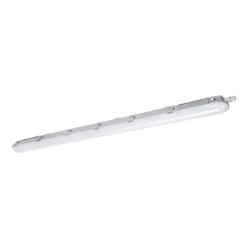 LED lysrör arbetsbelysning NEXFORCE LED/52W/230V IP66 4000K