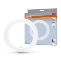 LED lysrör G10q/11W/230V 4000K - Osram