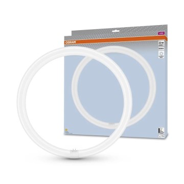 LED lysrör G10q/24W/230V 4000K - Osram