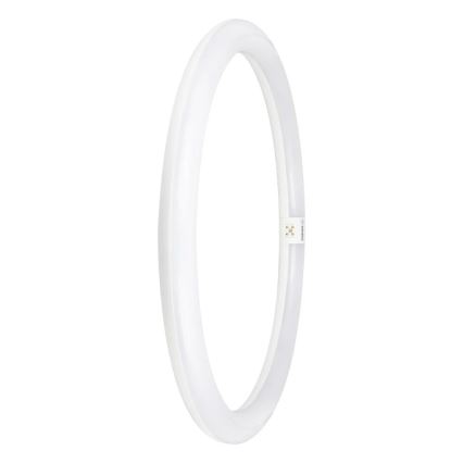 LED lysrör G10q/24W/230V 6500K - Osram