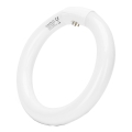 LED lysrör T9 G24q-1/22W/230V 6500K - Aigostar