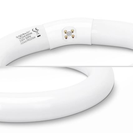 LED lysrör T9 G24q-1/22W/230V 6500K - Aigostar