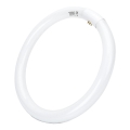 LED lysrör T9 G24q-1/32W/230V 6500K - Aigostar