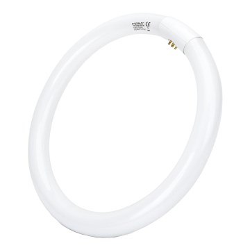 LED lysrör T9 G24q-1/32W/230V 6500K - Aigostar
