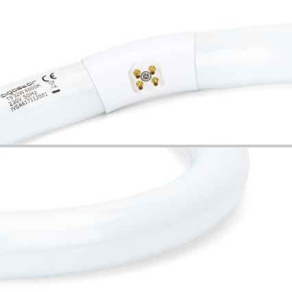 LED lysrör T9 G24q-1/32W/230V 6500K - Aigostar