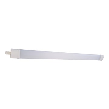LED Lysrörsbelysning DAISY LED/40W/230V 4000K IP65