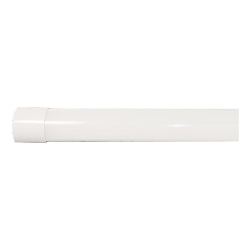 LED Lysrörsbelysning LED/40W/230V 3000/4000/6500K 116 cm