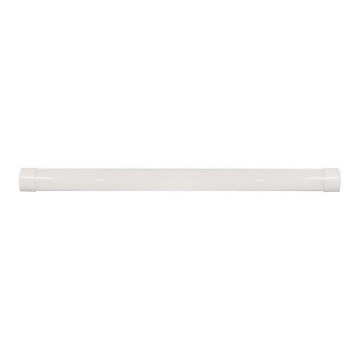 LED Lysrörsbelysning LED/50W/230V 6500K 150 cm vit