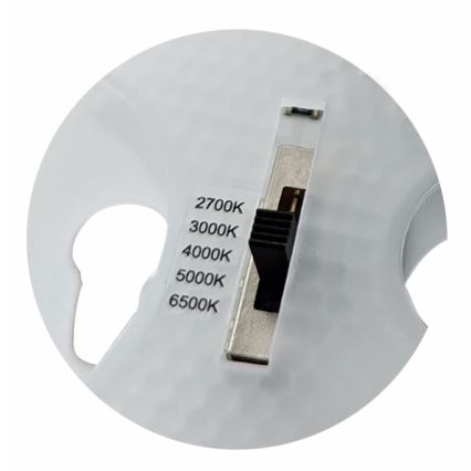LED Magnetisk modul LED/24W/230V diameter 17,5 cm 2700/3000/4000/5000/6500K