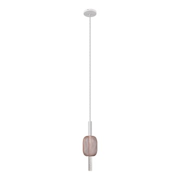 LED med upphängningsrem HOLD LED/5W/230V Roséguld /vit