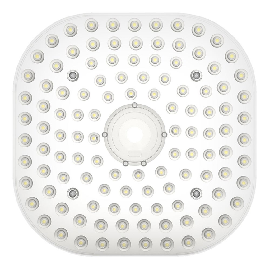 LED Modul LED/30W/230V