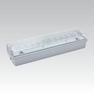 LED nödbelysning CARLA LED/5,51W/230V tillfällig 1h IP65