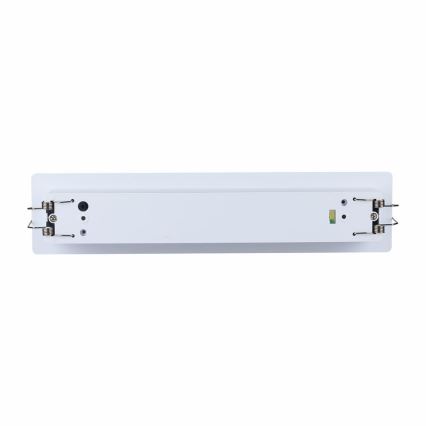 LED nödbelysning EMERGENCY EXIT SAMSUNG CHIP LED/2W/230V 6000K