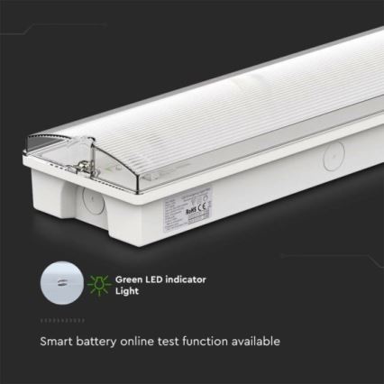LED nödbelysning EMERGENCY EXIT LED/3W/230V 6400K IP65