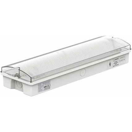 LED nödbelysning med ett regelbundet funktionstest EMERGENCY EXIT LED/3W/230V 6400K IP65
