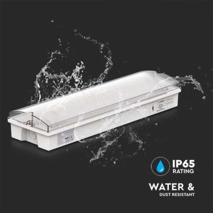 LED nödbelysning med ett regelbundet funktionstest EMERGENCY EXIT LED/3W/230V 6400K IP65