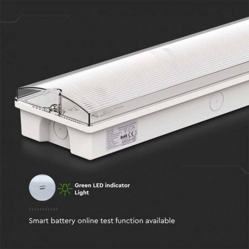 LED nödbelysning med ett regelbundet funktionstest EMERGENCY EXIT LED/3W/230V 6400K IP65