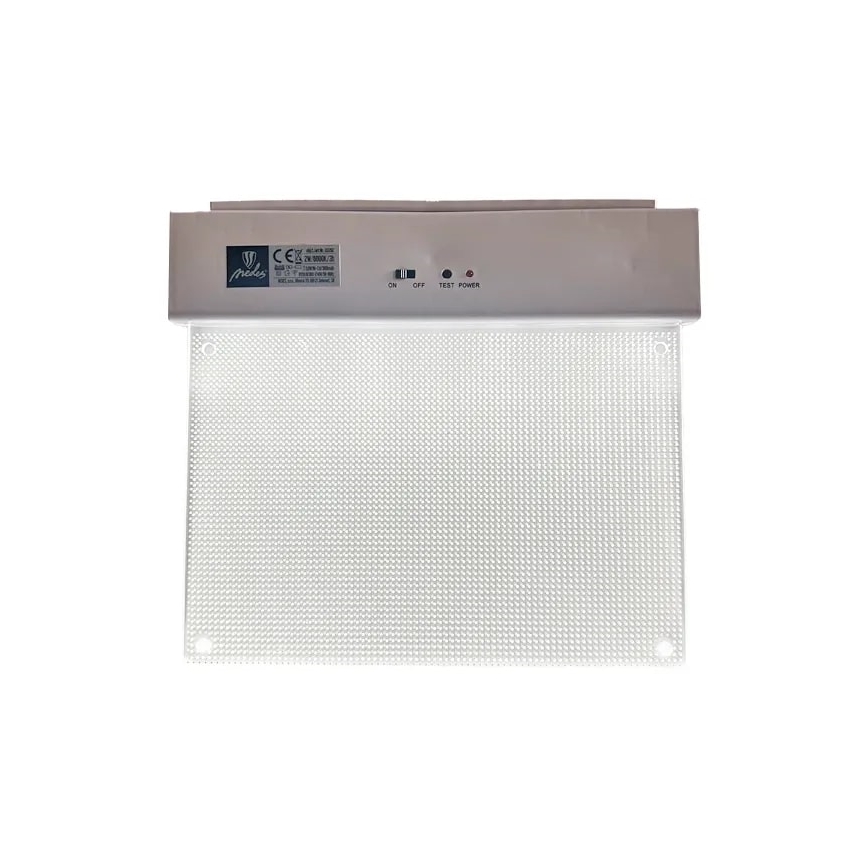 LED nödbelysning LED/2W/230V 6000K