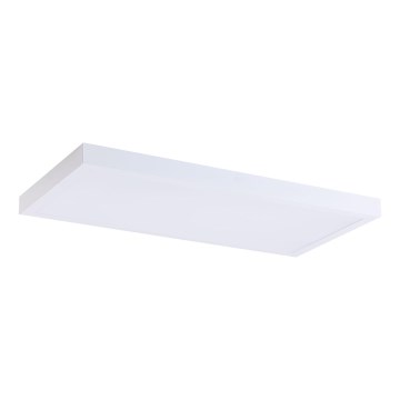 LED panel LED/36W/230V 4000K 30x60 cm vit