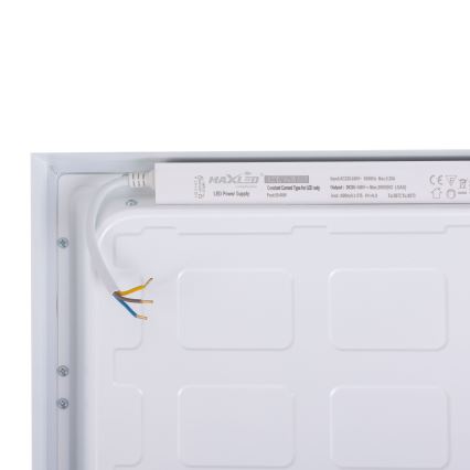 LED panel LED/36W/230V 4000K 30x60 cm vit