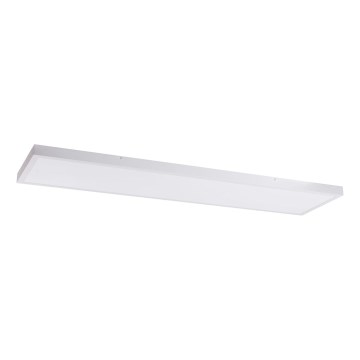 LED panel LED/60W/230V 4000K 30x120 cm vit