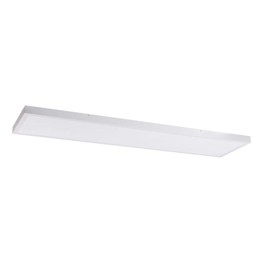 LED panel LED/60W/230V 4000K 30x120 cm vit