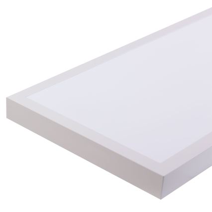 LED panel LED/60W/230V 4000K 30x120 cm vit