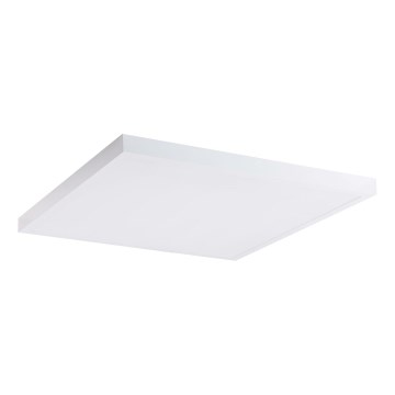 LED panel LED/60W/230V 4000K 60x60 cm vit
