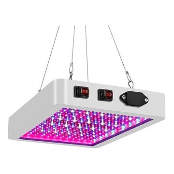 LED Pendelljus för växande växter LED/24W/230V IP44
