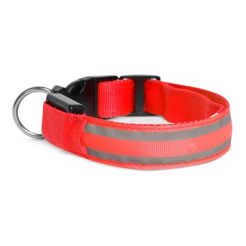 LED Rechargeable hund collar 35-43 cm 1xCR2032/5V/40 mAh röd