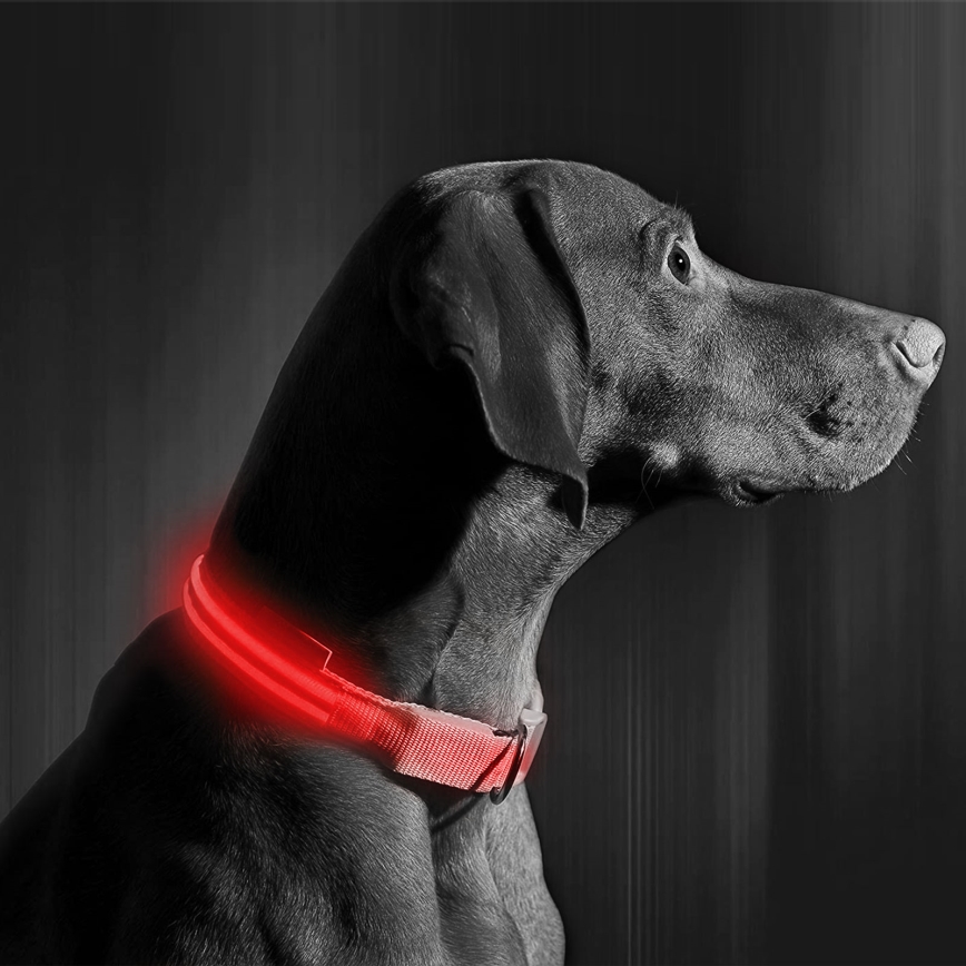 LED Rechargeable hund collar 35-43 cm 1xCR2032/5V/40 mAh röd