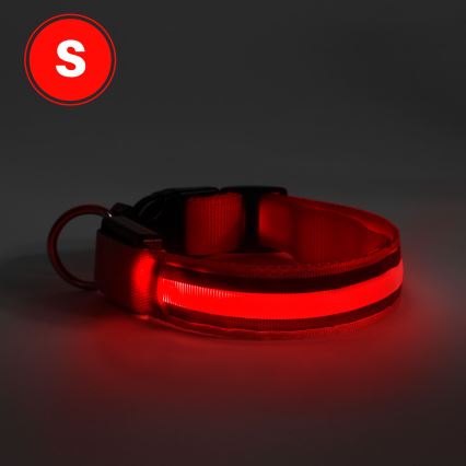 LED Rechargeable hund collar 35-43 cm 1xCR2032/5V/40 mAh röd