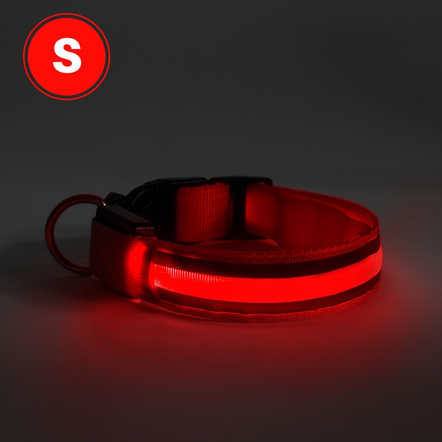LED Rechargeable hund collar 35-43 cm 1xCR2032/5V/40 mAh röd